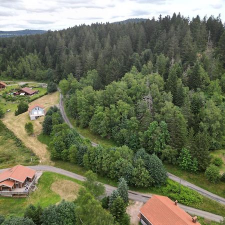 Chalet L'Appel De La Foret Gérardmer Εξωτερικό φωτογραφία