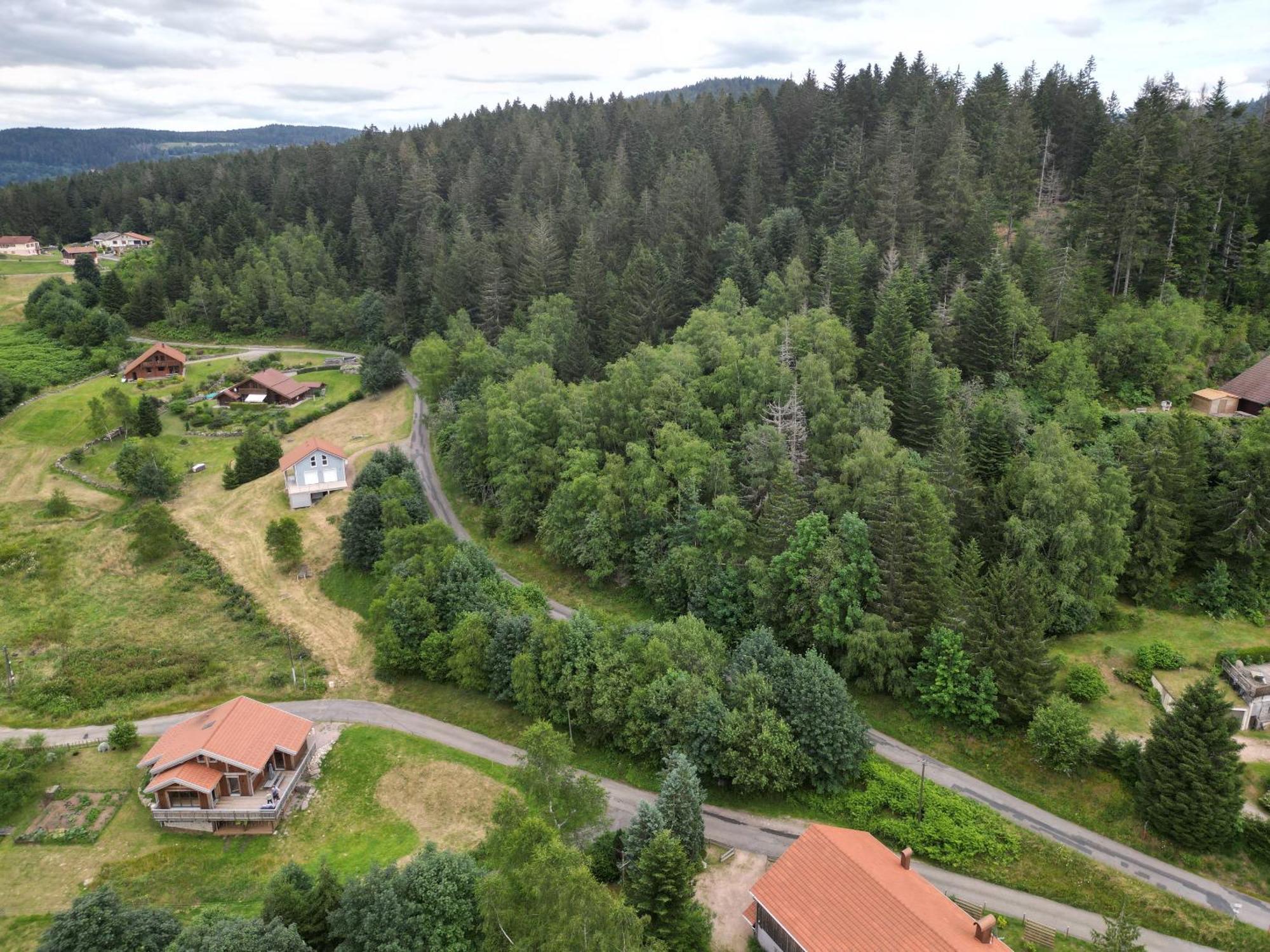 Chalet L'Appel De La Foret Gérardmer Εξωτερικό φωτογραφία