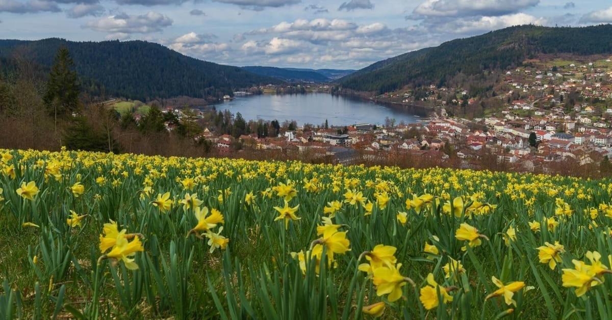 Chalet L'Appel De La Foret Gérardmer Εξωτερικό φωτογραφία